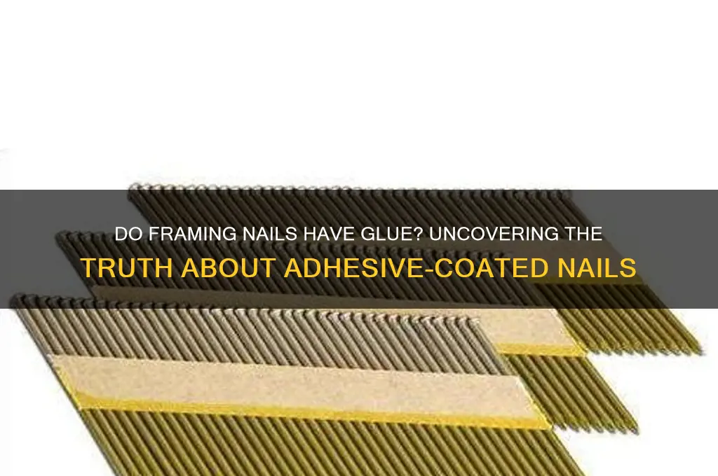 do framing nails have glue on them