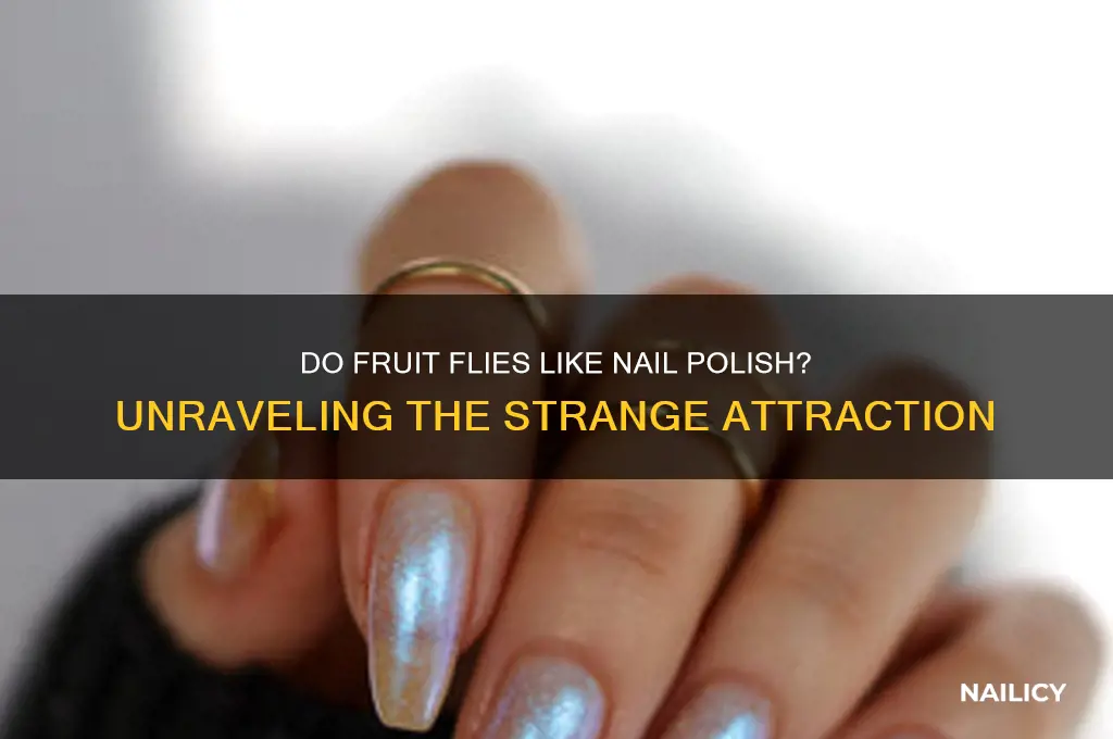 do fruit flies like nail polish