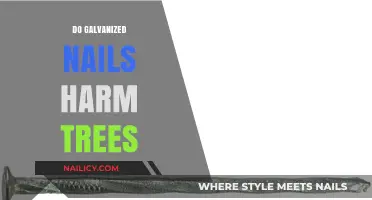 Galvanized Nails in Trees: Potential Harm and Safe Alternatives