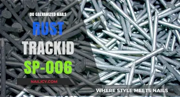 Do Galvanized Nails Rust? Debunking Myths and Facts