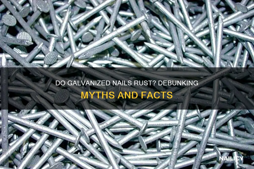 do galvanized nails rust trackid sp-006