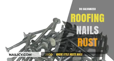 Do Galvanized Roofing Nails Rust? Debunking Myths and Facts