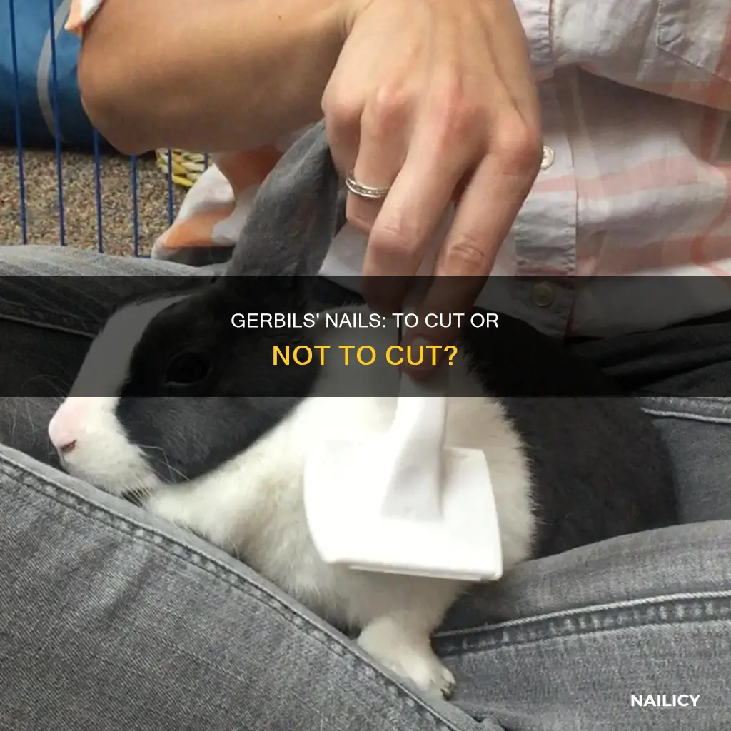 do gerbils need their nails cut