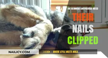 Do German Shepherds Need Nail Trims? Essential Grooming Tips Revealed