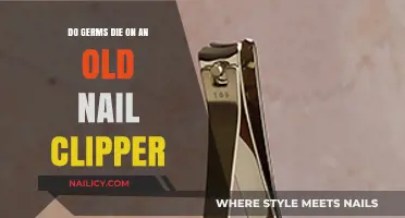 Can Old Nail Clippers Kill Germs? Surprising Hygiene Facts Revealed