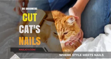 Cat Claw Clipping: Groomers' Expertise for Feline Nails