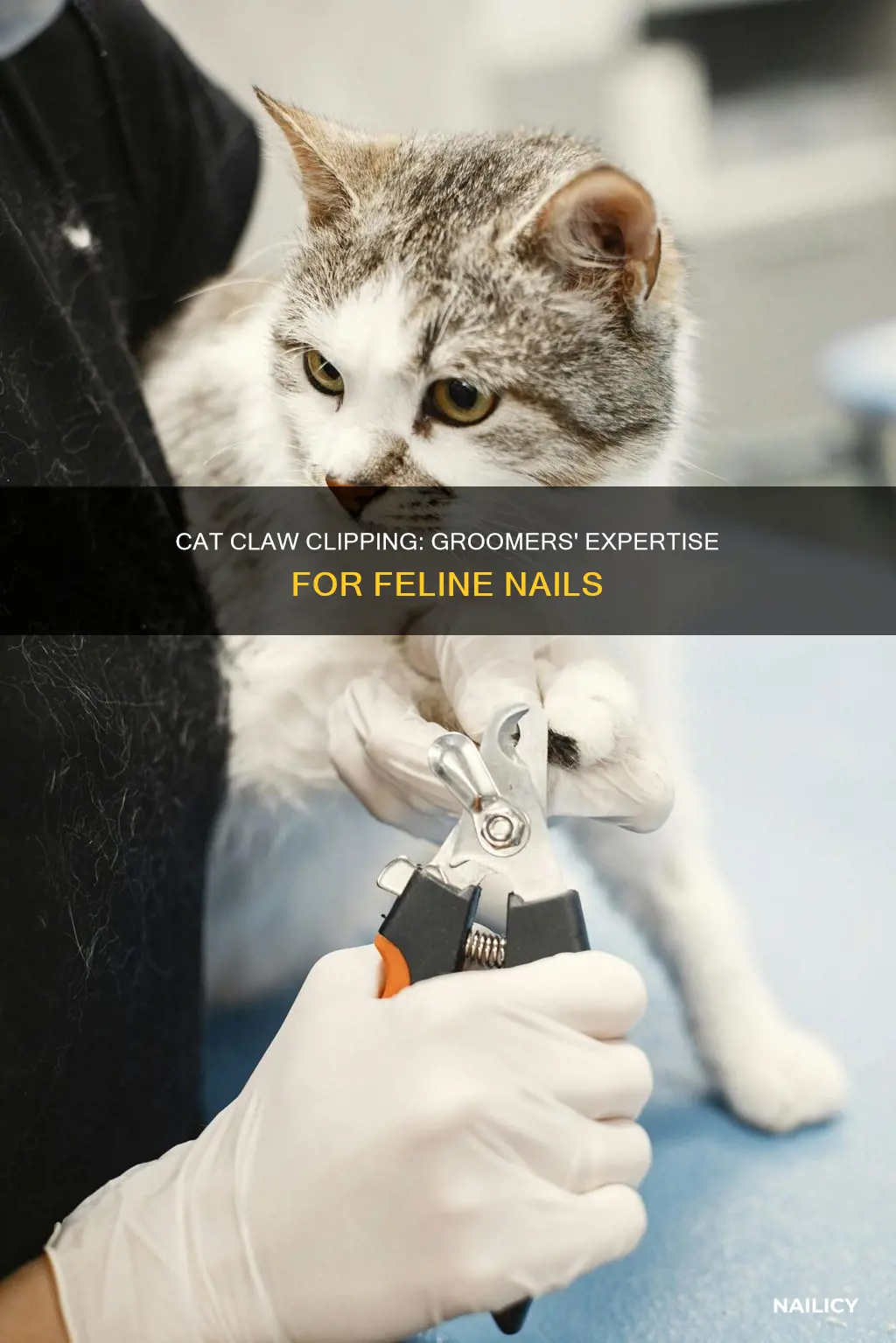 do groomers cut cat
