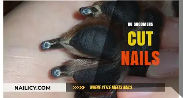 Groomers: Nail Clipping and More