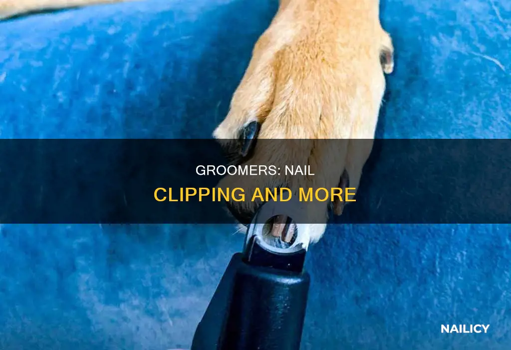 do groomers cut nails