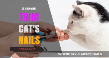 Groomers' Cat Nail Trimming: What You Need to Know