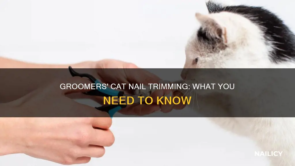 do groomers trim cat