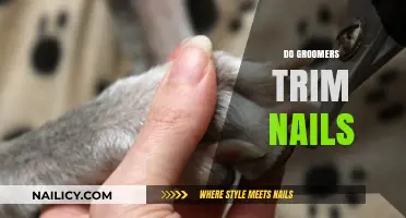 Groomers' Nail Trimming: Essential Pet Care Service