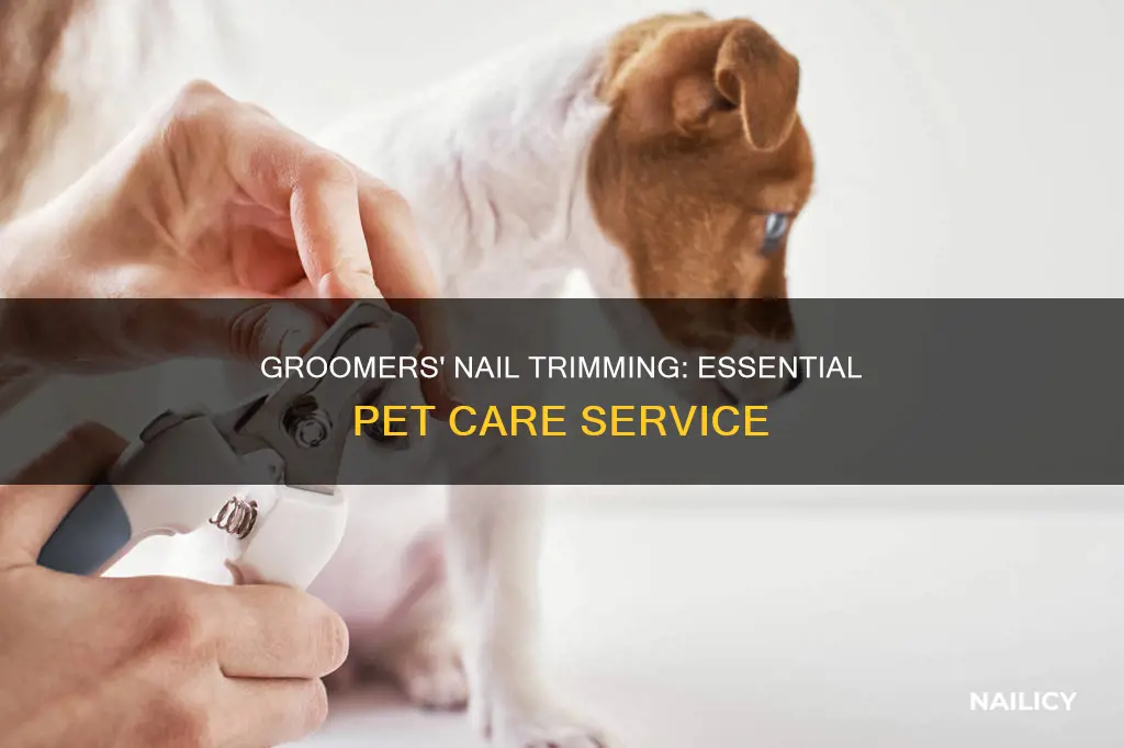 do groomers trim nails