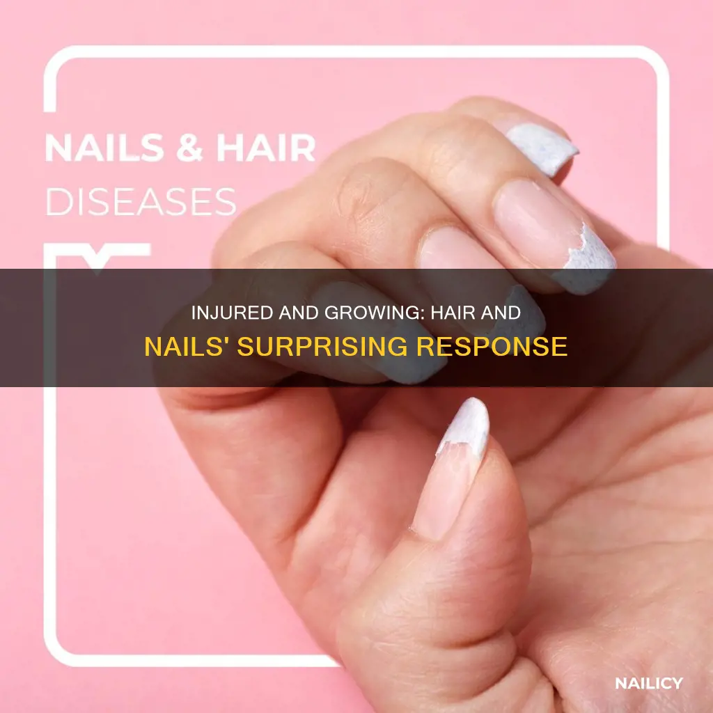 do hair and nails grow faster when you are injured
