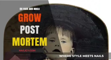 The Mystery of Post-Mortem Hair and Nail Growth