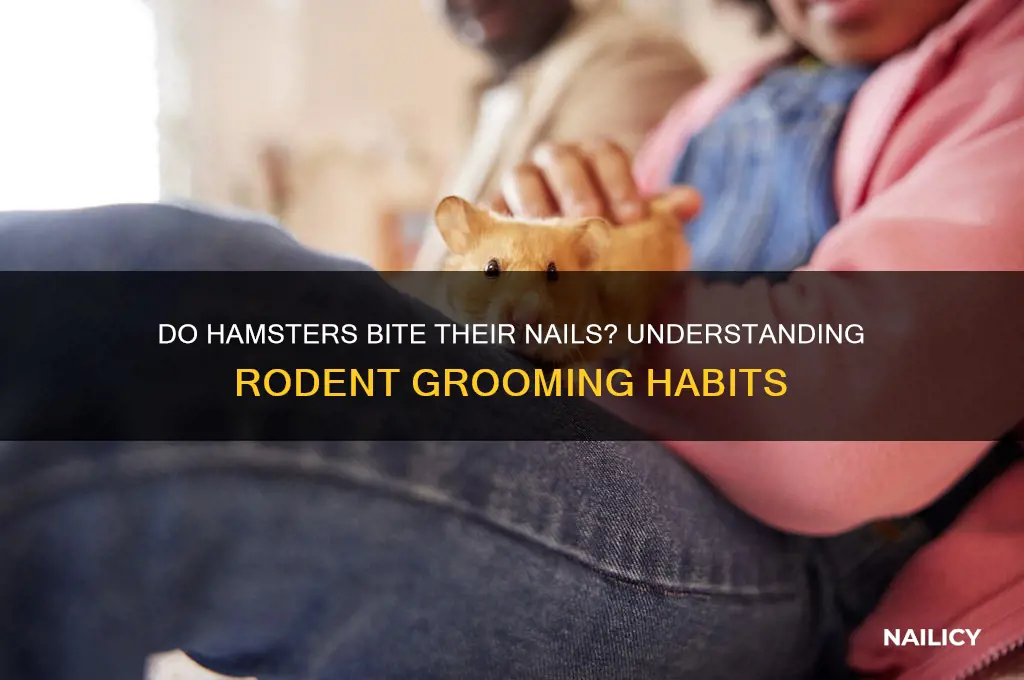 do hamsters bite their nails