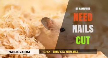 Hamster Nail Care: Do They Need Trims?