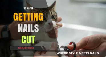 Why Do Cats Hate Getting Their Nails Cut?