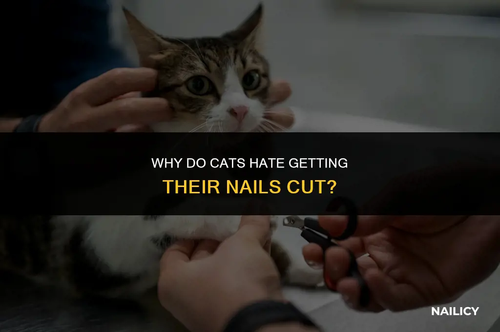 do hates getting nails cut