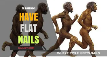 Exploring Hominin Nail Evolution: Are Their Nails Naturally Flat?