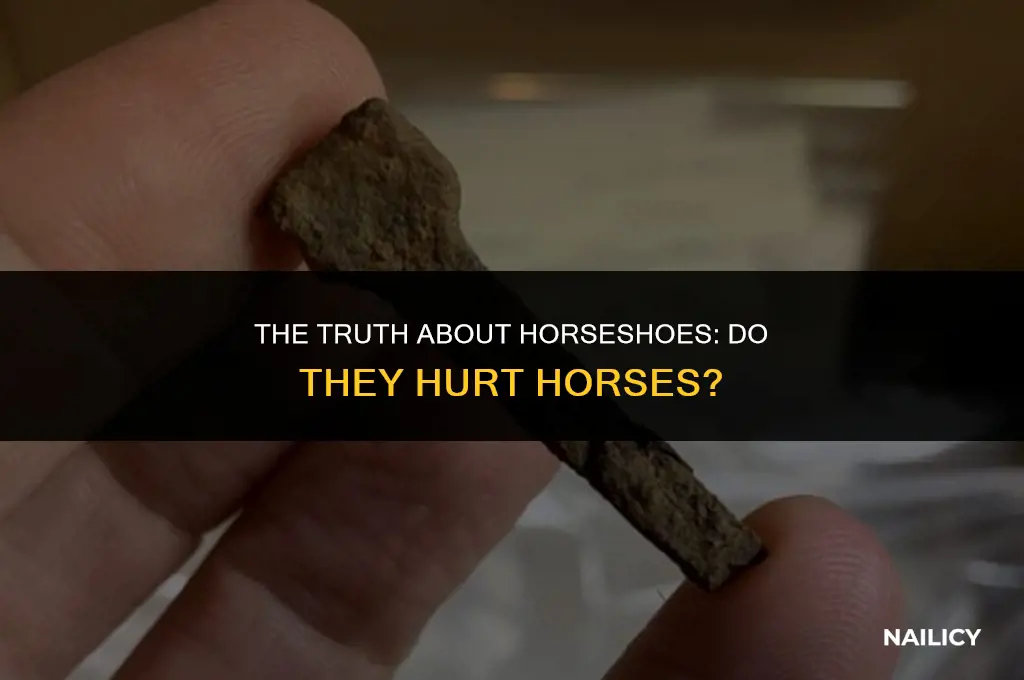 do horses get hurt when the horseshoes are nailed on