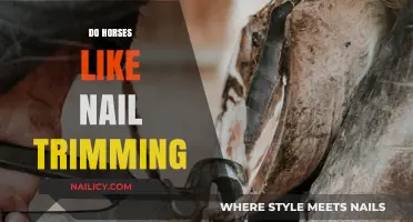 Trimming Nails: Do Horses Enjoy It?