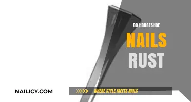 Do Horseshoe Nails Rust? Understanding Durability and Maintenance Tips