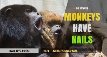 Do Howler Monkeys Have Nails? Uncovering Primate Anatomy Facts