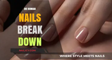 Do Human Nails Decompose? Exploring Their Breakdown Process and Factors