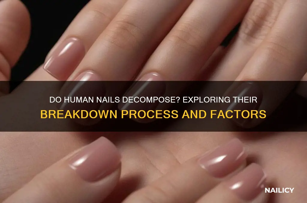 do human nails break down