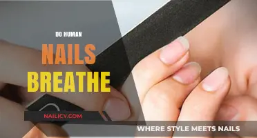 Do Human Nails Breathe? Unraveling the Myth Behind Nail Health
