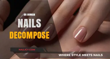 Do Human Nails Decompose? Uncovering the Truth About Nail Breakdown