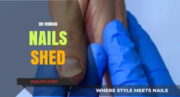 Do Human Nails Shed? Uncovering the Truth About Nail Growth