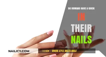 Unveiling the Truth: Do Humans Have a Quick in Their Nails?