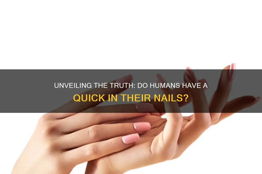 do humans have a quick in their nails