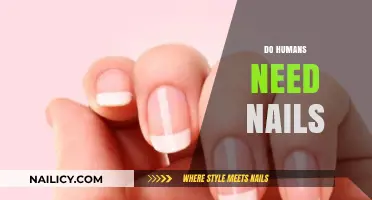 Why Humans Need Nails: Uncovering Their Surprising Purpose and Benefits