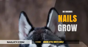 How Husky Nails Grow and What to Do About It