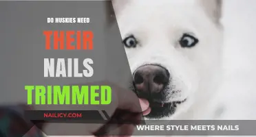 Huskies' Nails: To Trim or Not to Trim?
