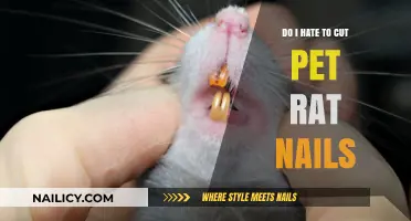 Why I Dread Trimming My Pet Rat's Nails
