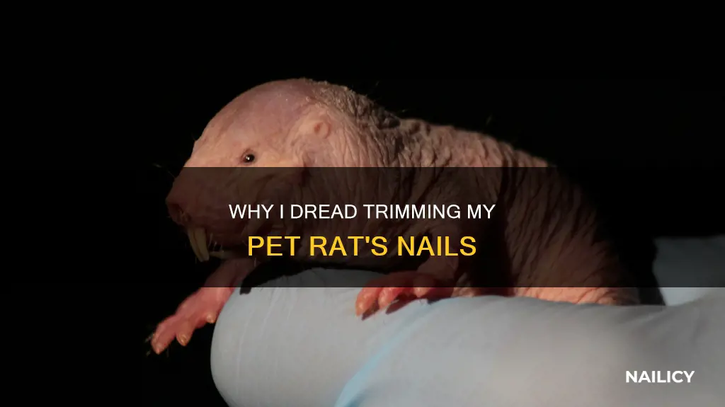 do i hate to cut pet rat nails