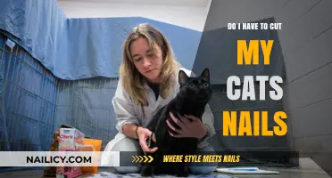 Cat Claw Clipping: Necessary or Not?