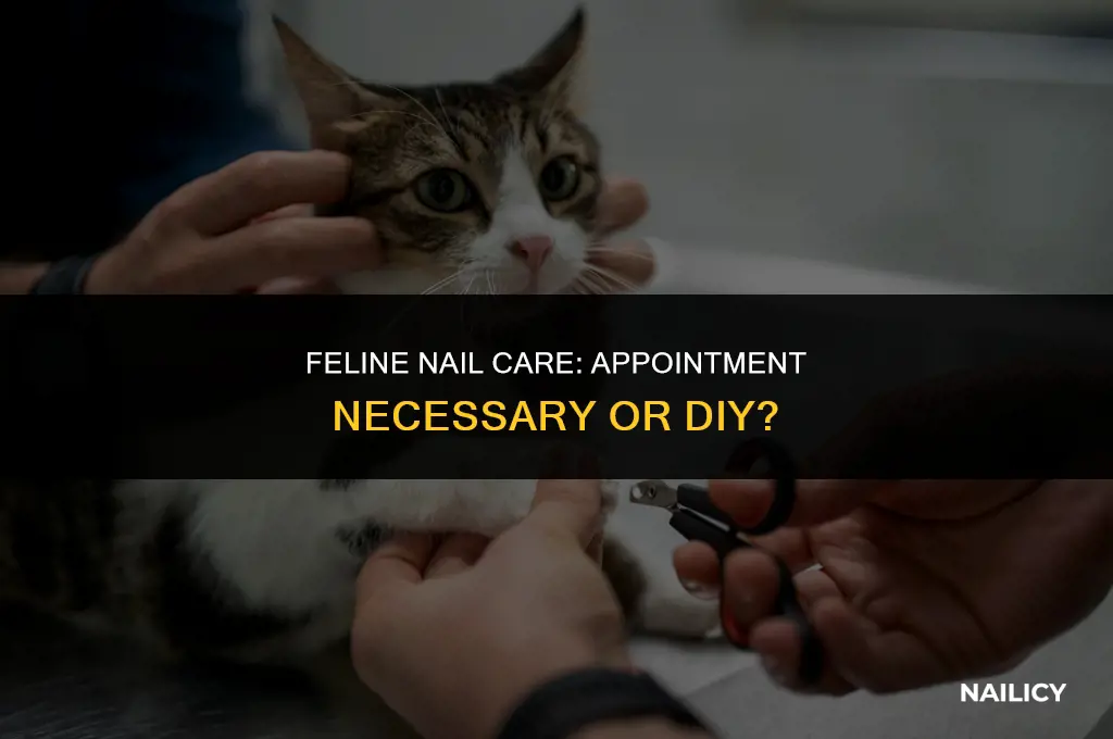 do i need an appointment to get cats nails clipped