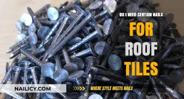 Choosing the Right Nails for Roof Tiles: Essential Tips and Advice