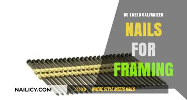 Galvanized Nails for Framing: Essential or Optional? Expert Insights