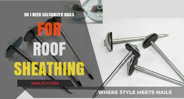 Galvanized Nails for Roof Sheathing: Essential or Optional?