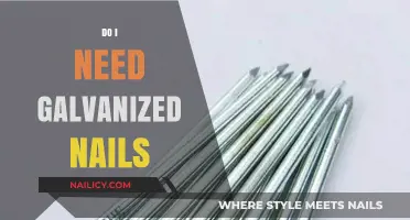 Galvanized Nails: Essential or Optional for Your Next Project?