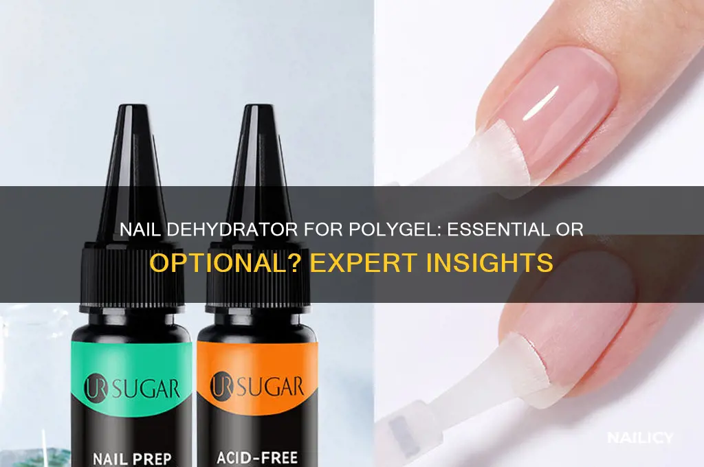do i need nail dehydrator for polygel