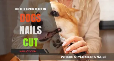 Paws and Paperwork: A Guide to Dog Nail Trimming Essentials