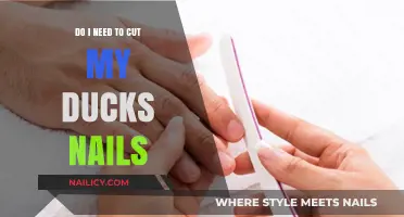 Duck Nail Care: When and How to Trim