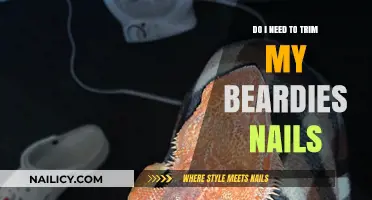 Trimming Your Bearded Dragon's Nails: When and Why?